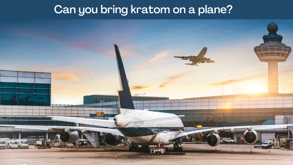 Can you bring kratom on a plane