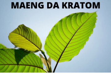 Mang Da Kratom leaf