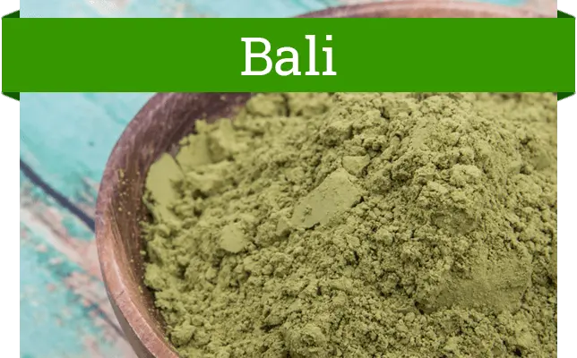 Bali Kratom Strain