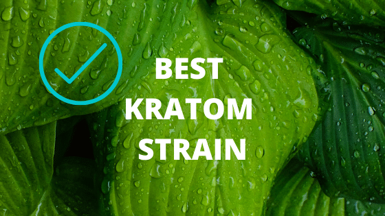 Best kratom strain