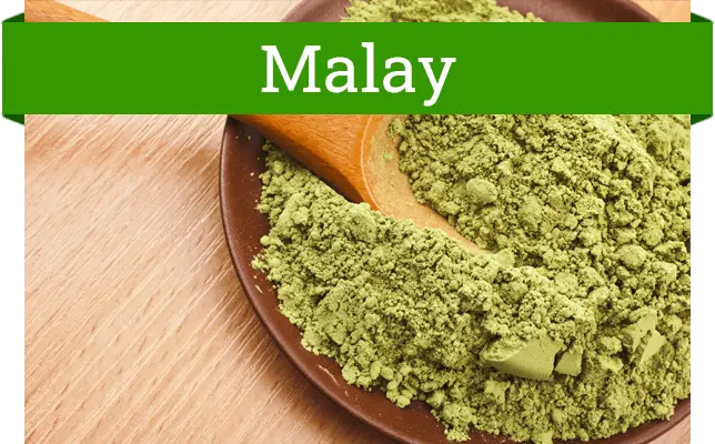 Malay Kratom Strain