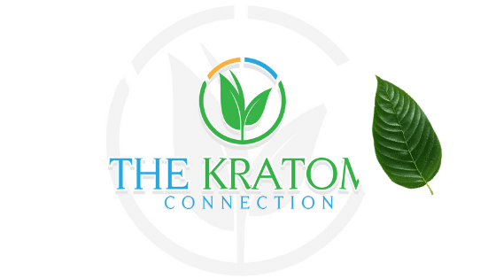 kratom connection review