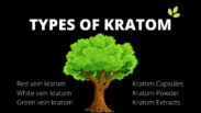 types of kratom
