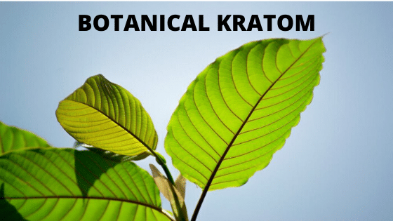 Botanical Kratom