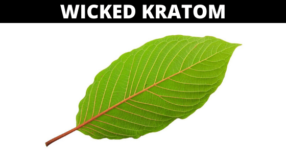 Wicked Kratom Review