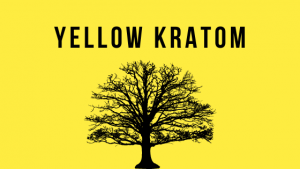 yellow kratom