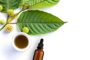 liquid extract kratom tincture