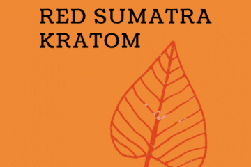 red sumatra kratom