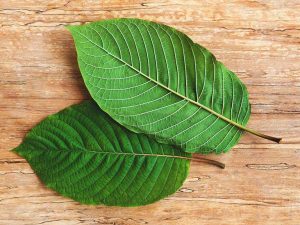 types of kratom for sale