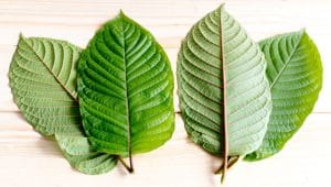 what are kratom strains