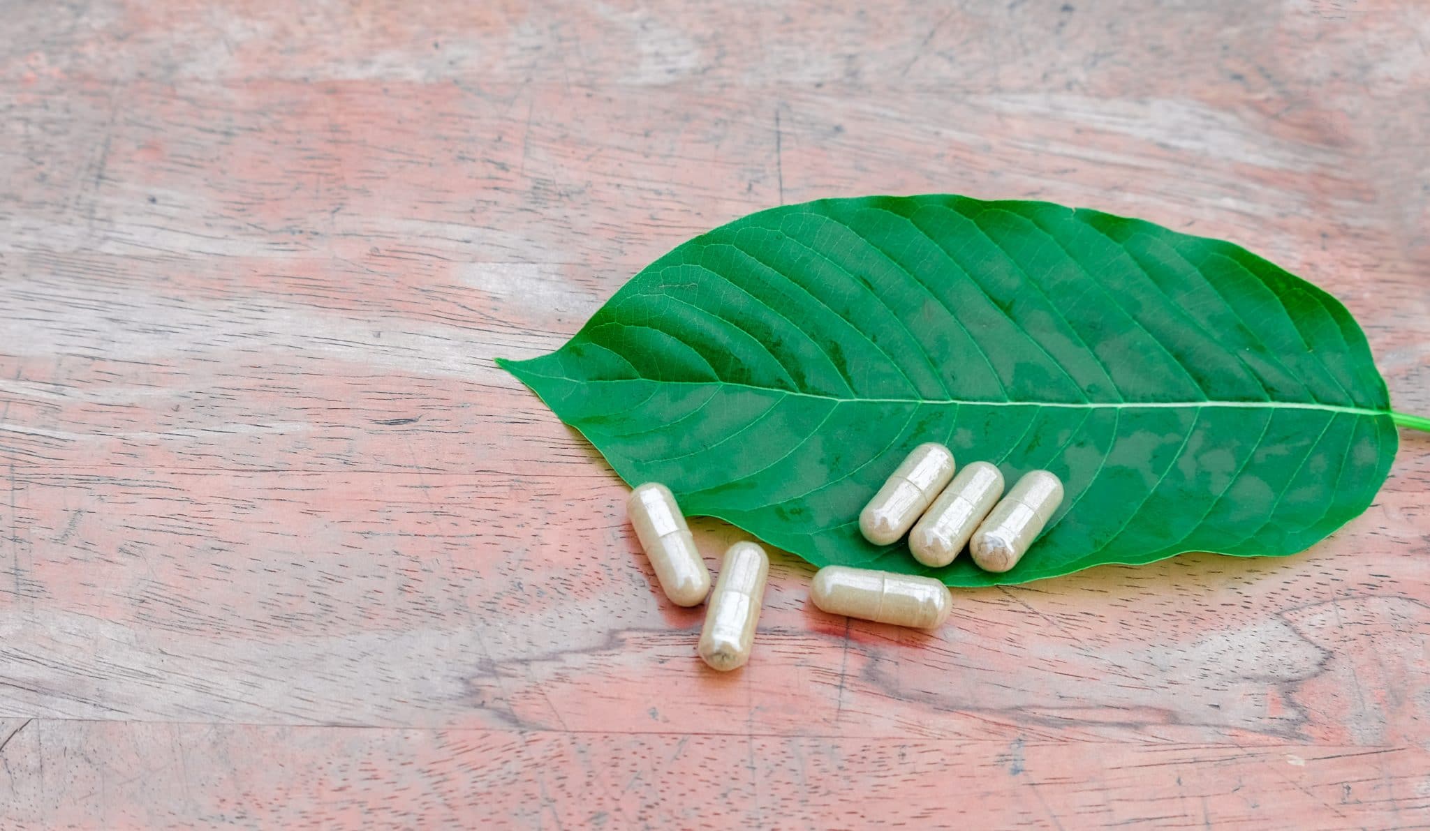 Kratom Source Best Buying Guide Buy Kratom Bulk USA