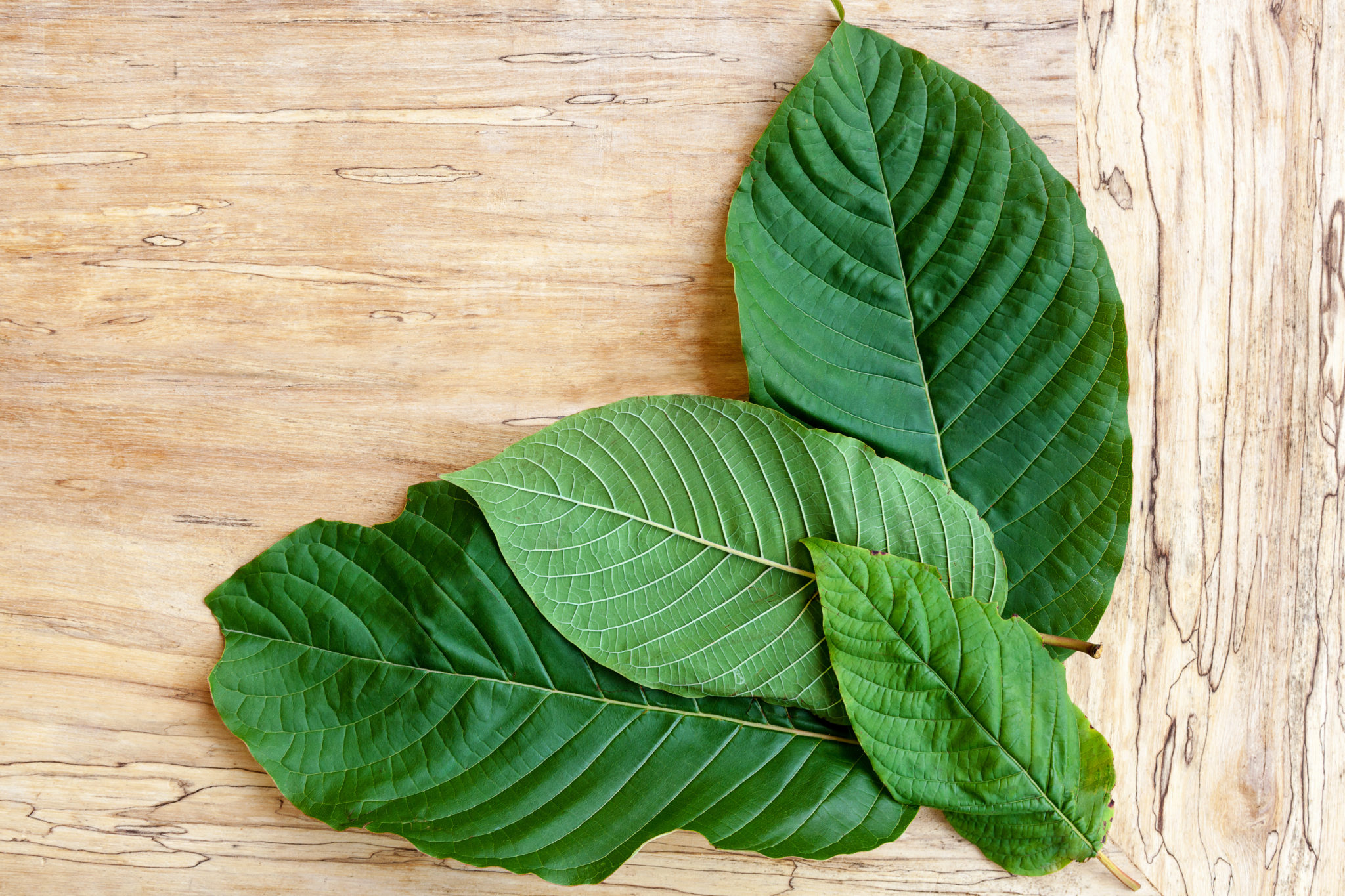 what is the best type of kratom