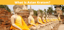 What Is Asian Kratom?
