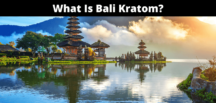 What Is Bali Kratom?