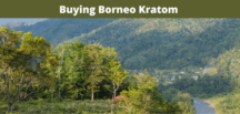 Borneo Kratom