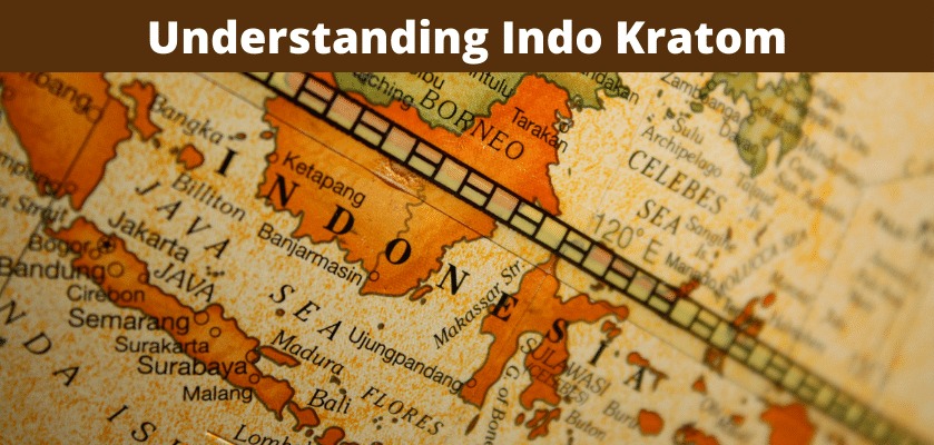 Understanding Indo Kratom