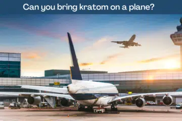 Can you bring kratom on a plane